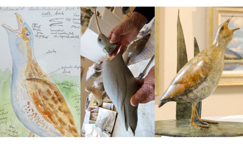 Eddie Hallam sketchbook drawing and watercolour with progress and final scupture of sea bird