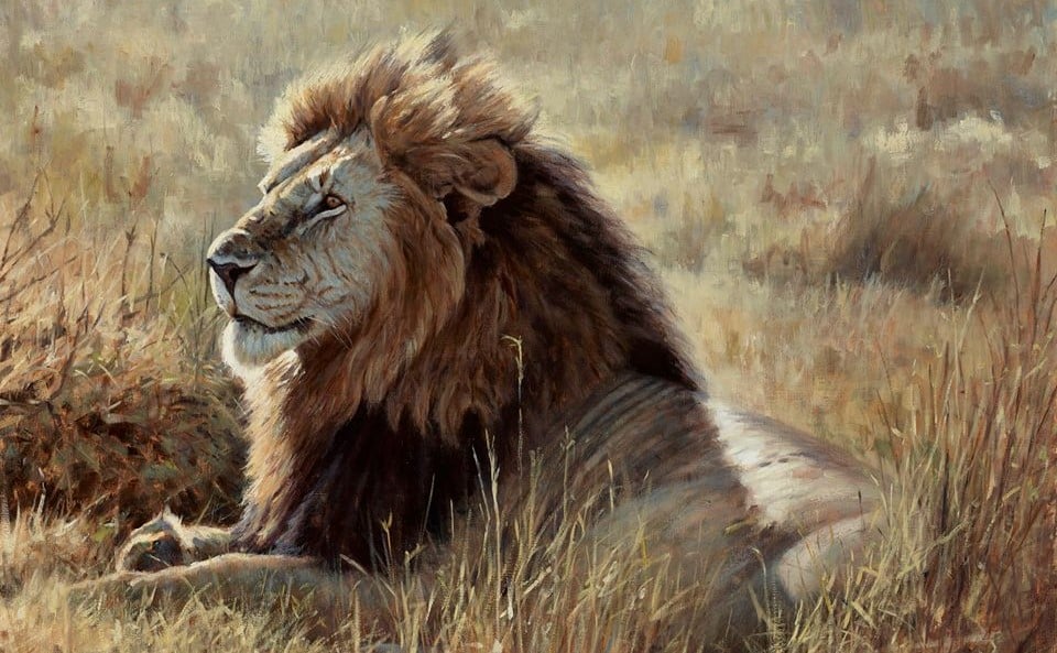 Justin Prigmore art Lion on plains of Africa