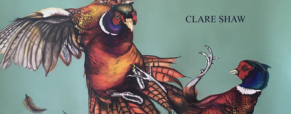 Clare Shaw Clare Shaw