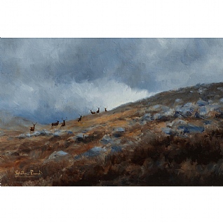 Stags Moving On The Hill by Alastair Proud Stags Moving On The Hill by Alastair Proud