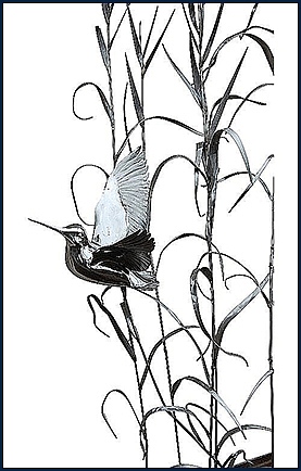 Flushed (Woodcock) by Jason Sweeney Flushed (Woodcock) by Jason Sweeney