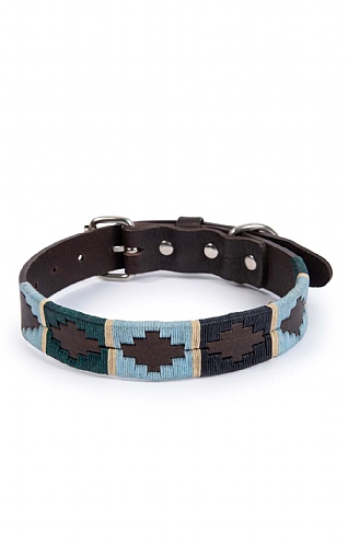 Argentinian Dog Collar Argentinian Dog Collar