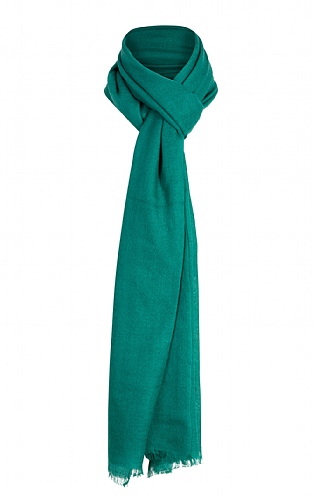 Fine Cashmere Wrap Fine Cashmere Wrap