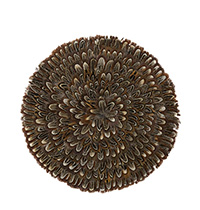 Feather Placemat