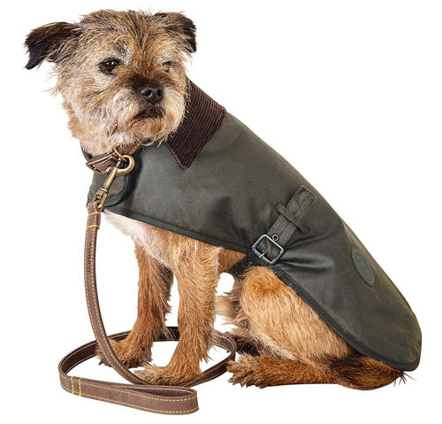 Barbour wax dog coat