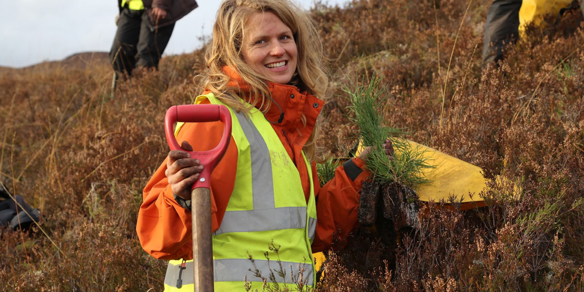 volunteer planting seedlings