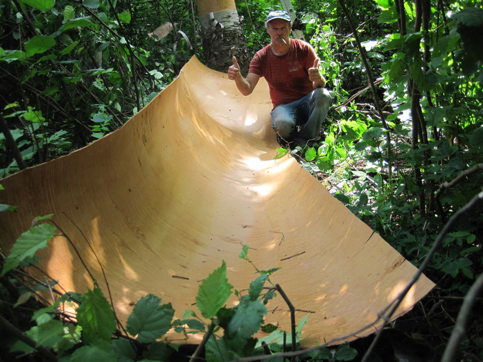 Natural birch canoe crafted by Tom Byers in Canada process