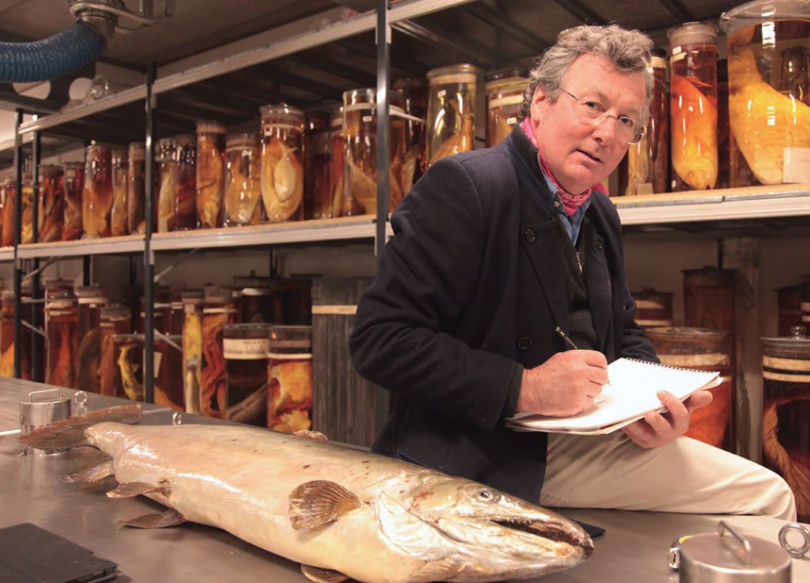 David Williams-Ellis sculptor researching salmon