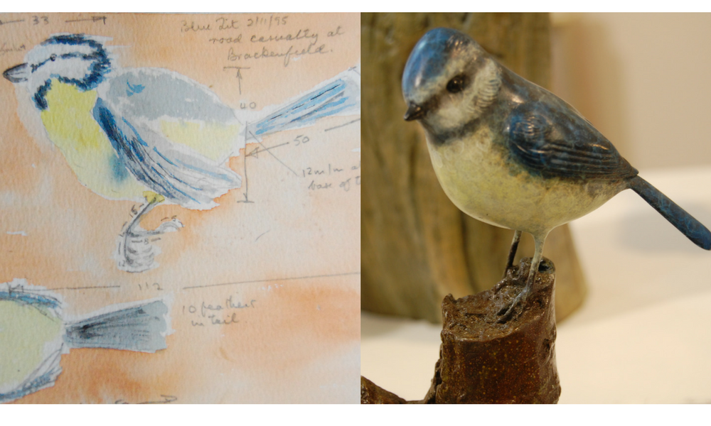 Eddie Hallam Artist initial sketchbook work and final sculpture of blue tit