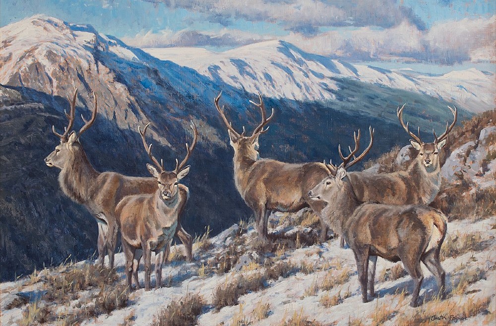 Justin Prigmore art stags on Scottish hills in snow