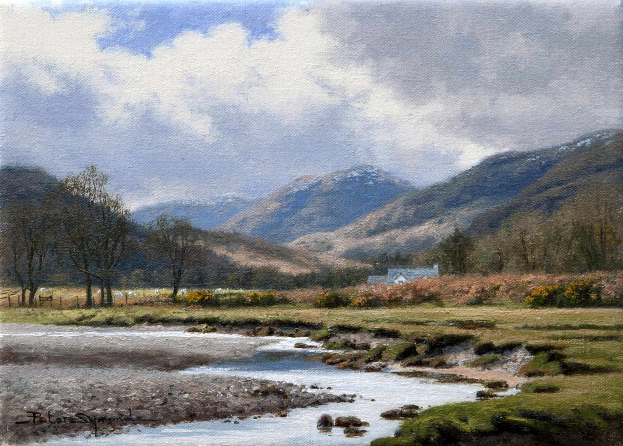 Peter Symonds artist Scottish landscapes wild places natural environment