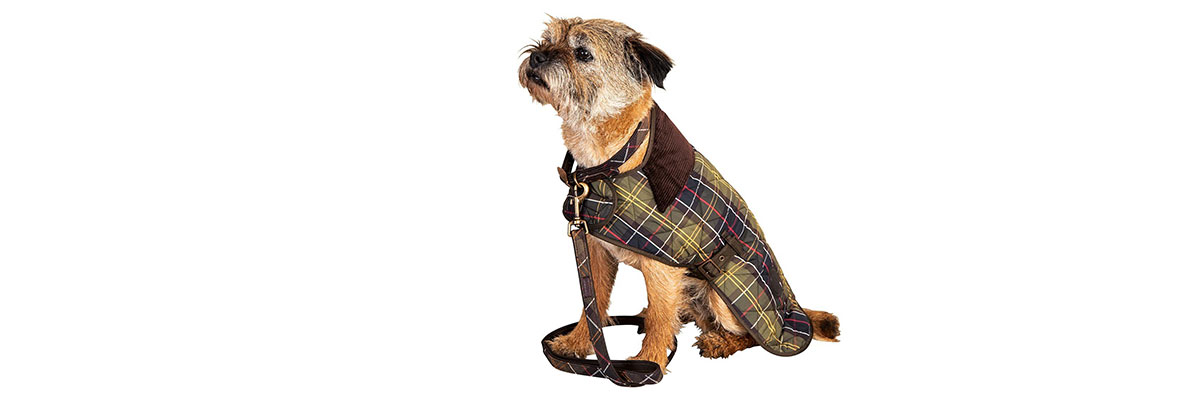 barbour tartan dog coat