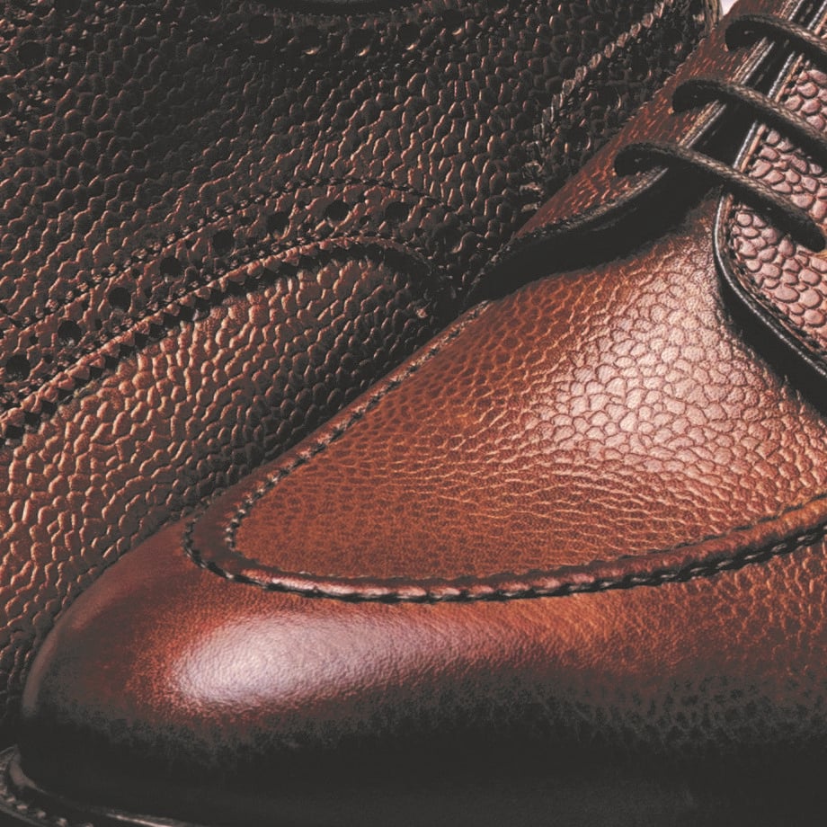 Leather Shoe Care