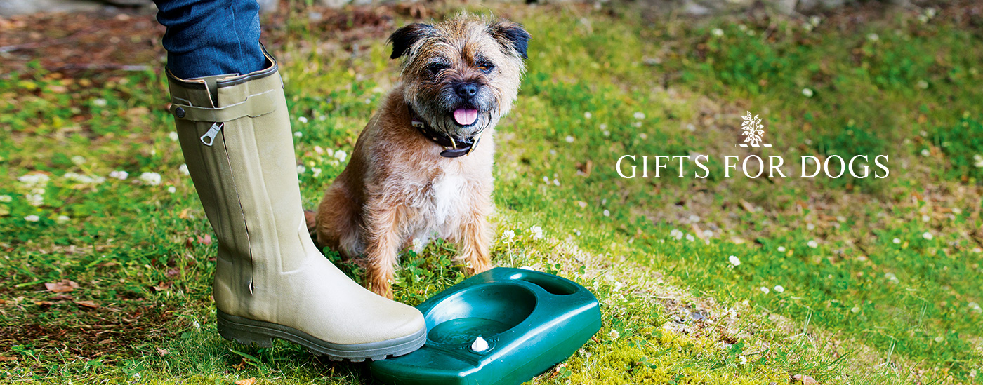 Gifts for Dogs