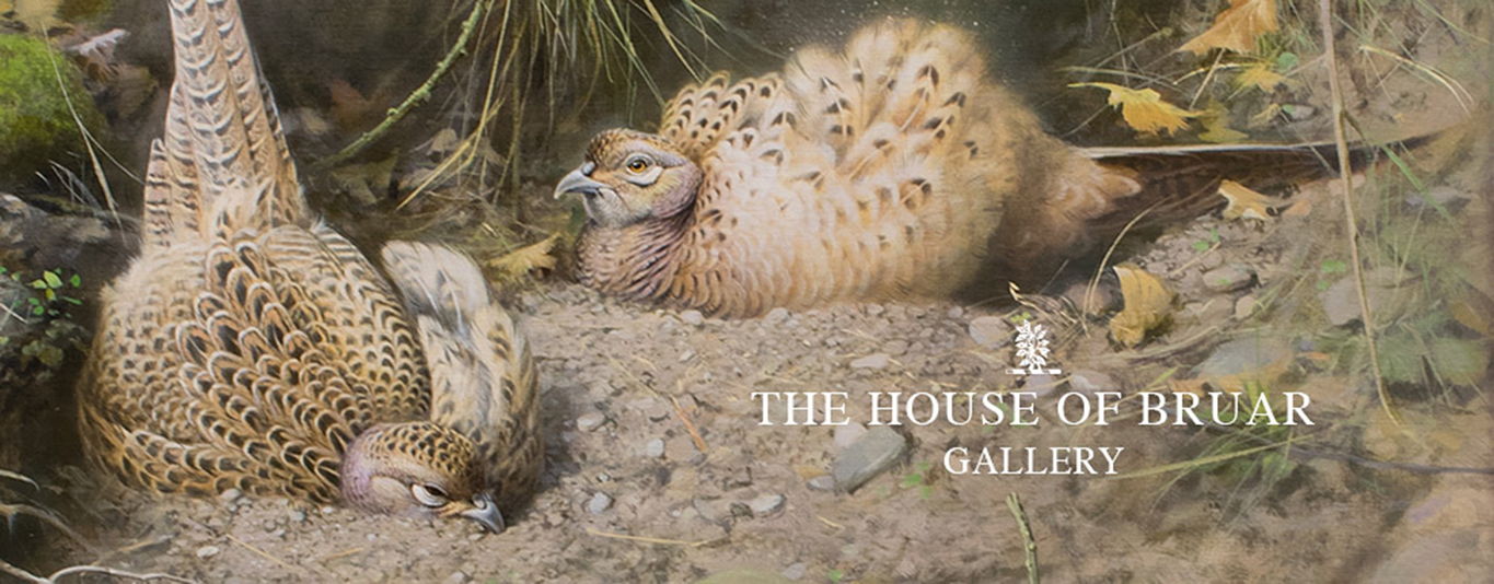 GALLERY GALLERY