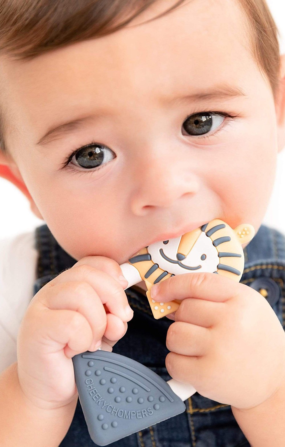  Teethers, Elephant