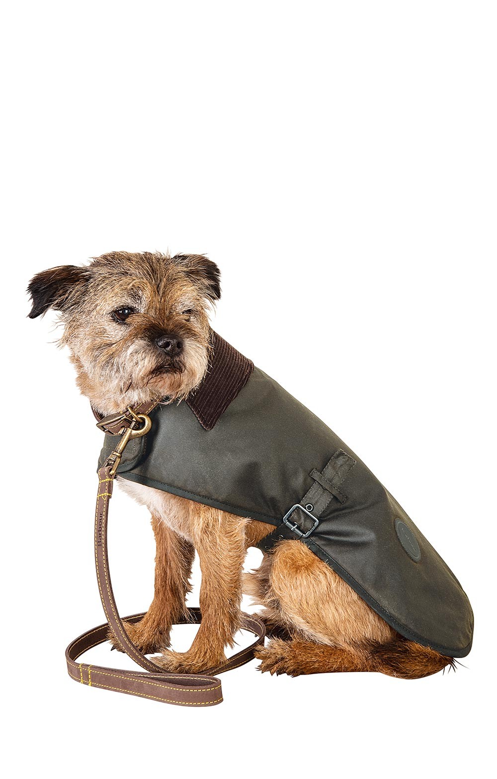 barbour wax dog coat