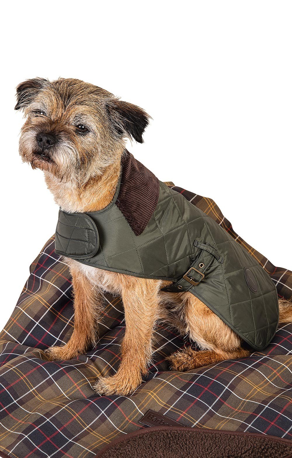 barbour tartan fleece lined dog coat