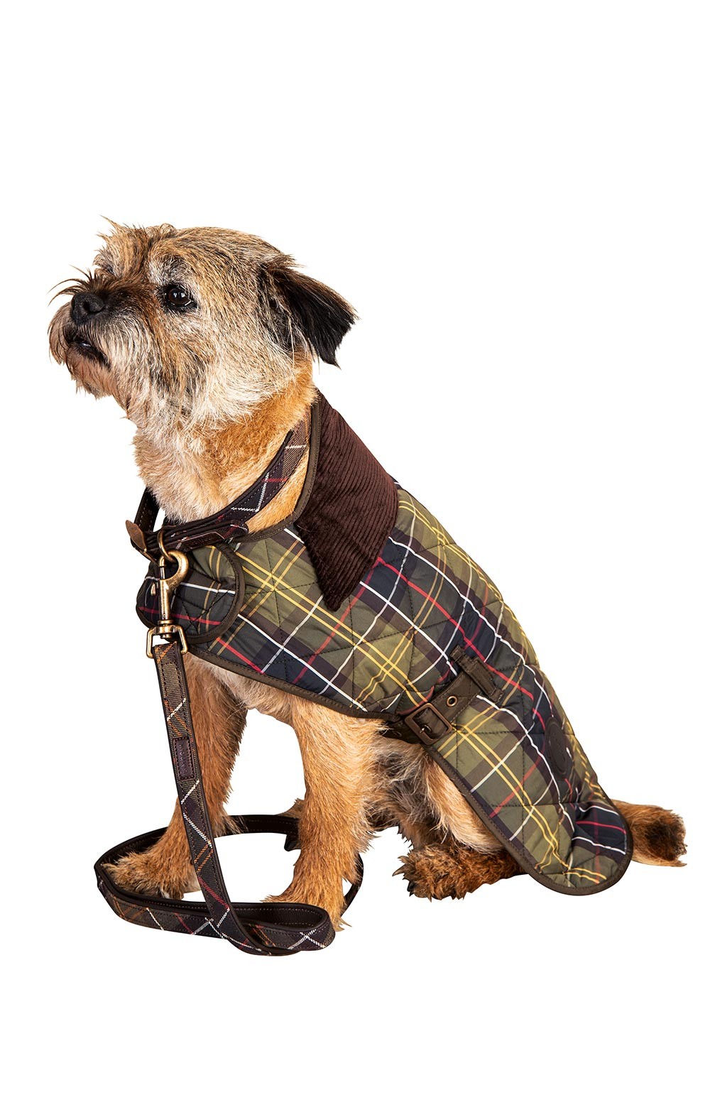 barbour waterproof tartan dog coat