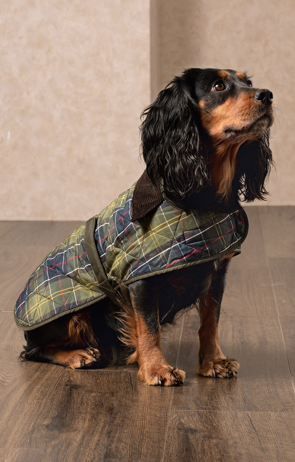 barbour dog coat tartan