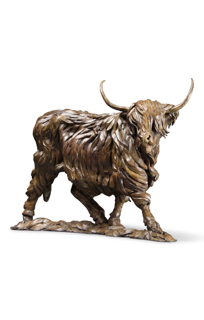 Highland Cow William Montgomery