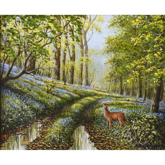 Spring Roe Geoff Rollinson