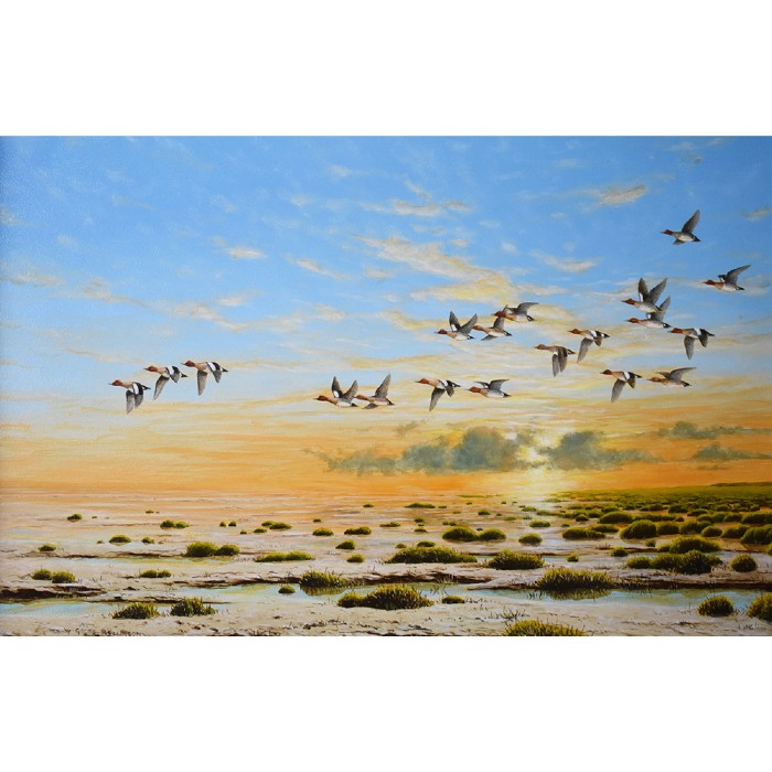 Widgeon Dawn Geoff Rollinson
