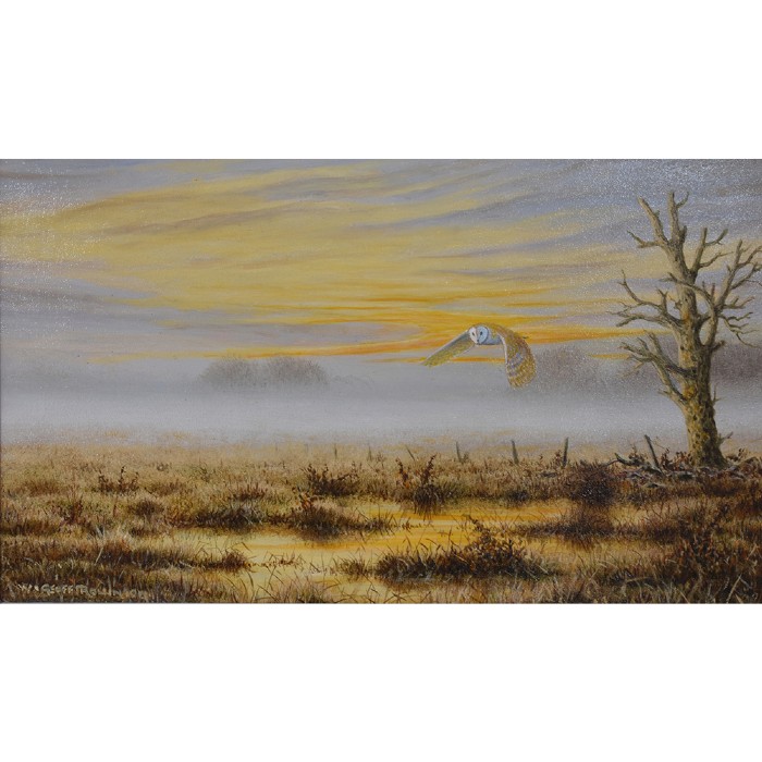 Evening Barn Owl Geoff Rollinson