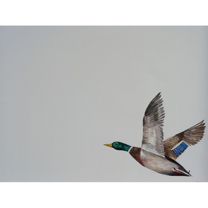 Trying to Catch Up Mallard Naoimh OShea