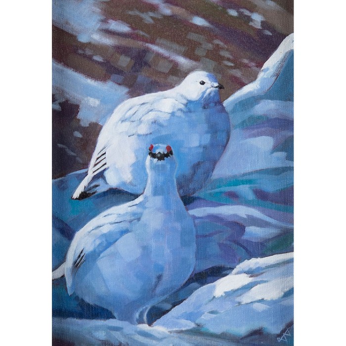 Winter Ptarmigan Brin Edwards