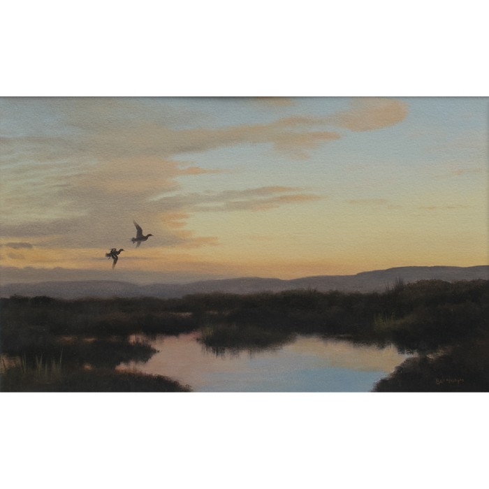 Moorland Flight Pond Ben Hoskyns