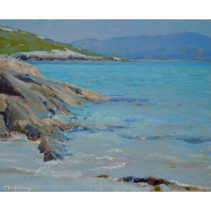 Wavelets Ian MacGillivray