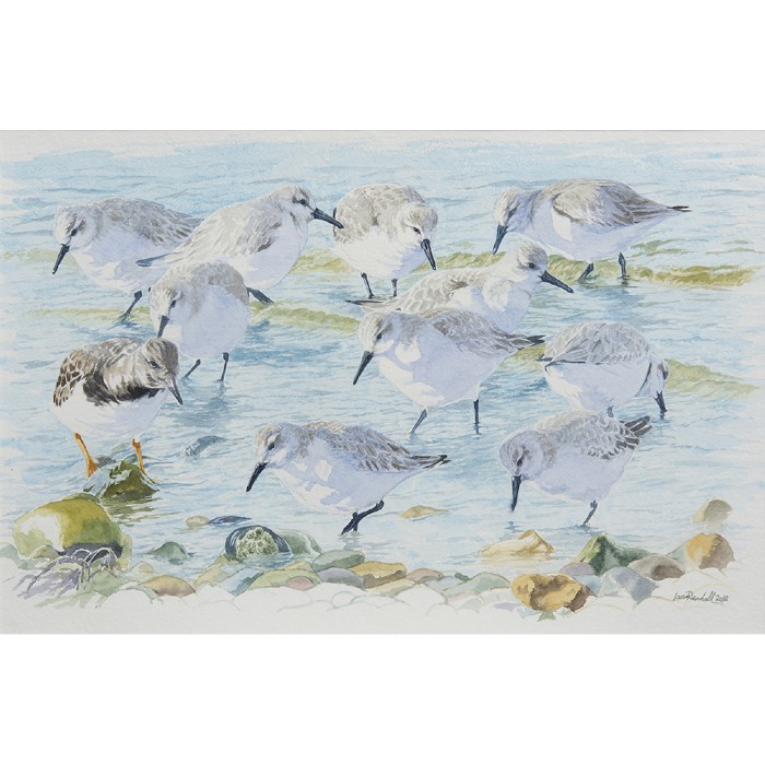 Ian Rendall | Scottish Painters | GALLERY | House Of Bruar