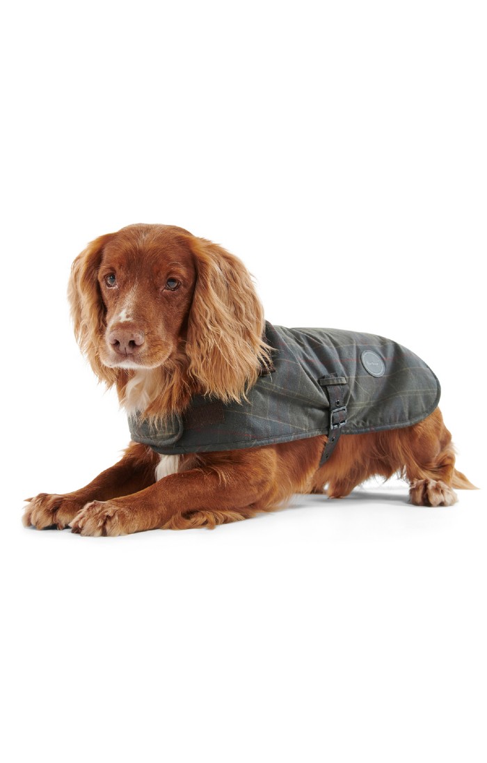 Barbour Wax Dog Coat - House of Bruar
