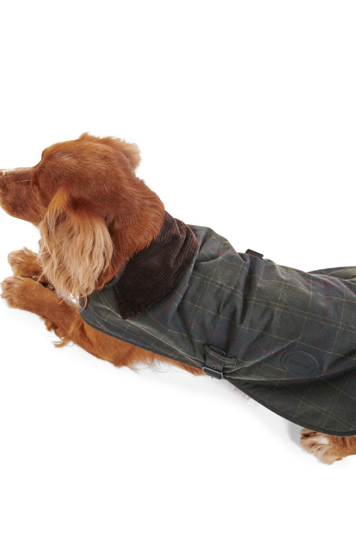 Barbour Wax Dog Coat - House of Bruar