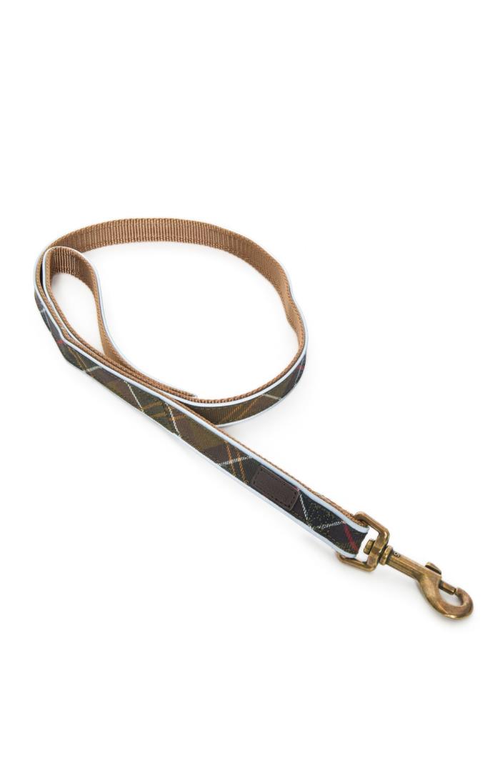 Collar and lead sale
