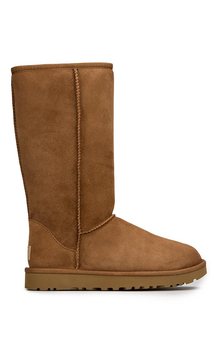 navy ankle boots debenhams
