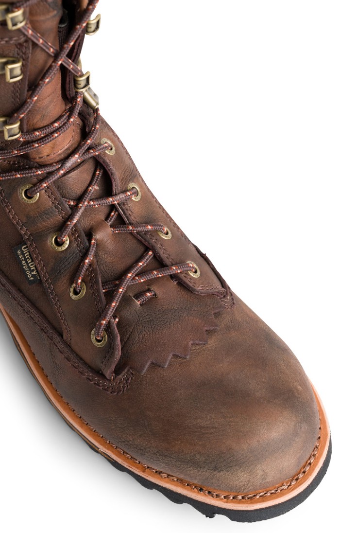Irish setter elk tracker deals