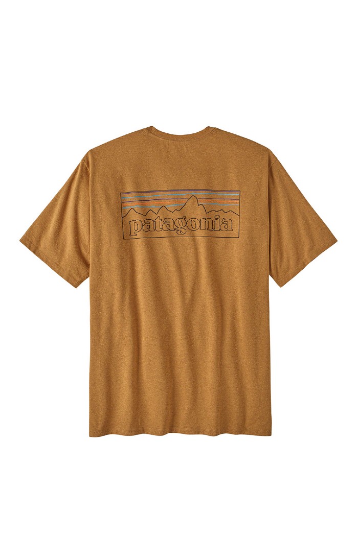 Patagonia t shirt orange deals