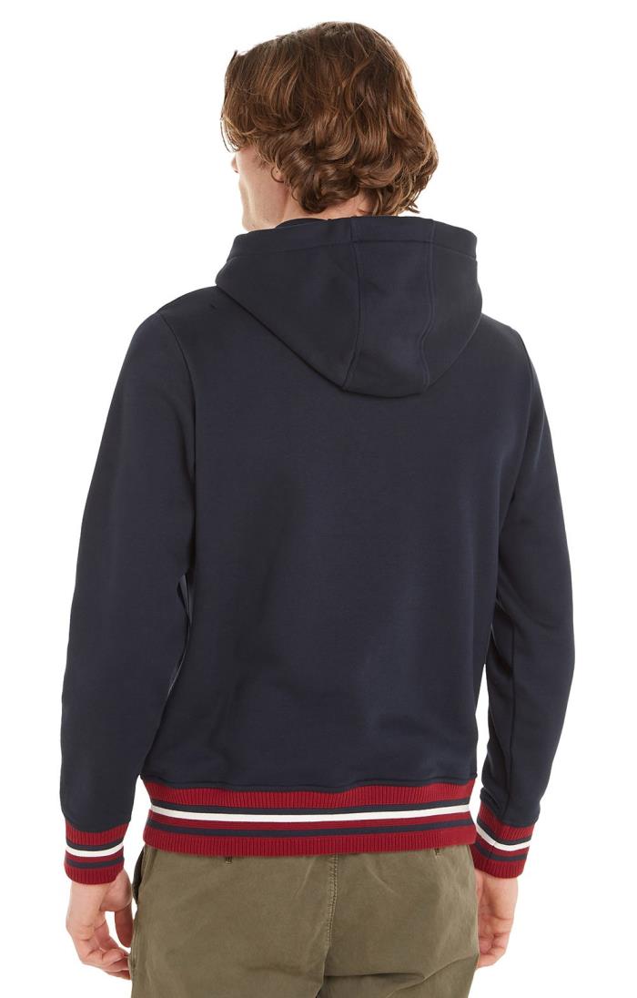 Men s Tommy Hilfiger Bold Global Stripe Hoodie House of Bruar