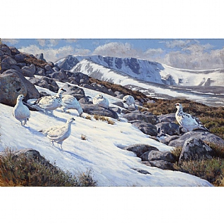 High Country Showdown by Justin Prigmore