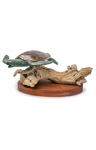 Large Turtle on Mahogany by Pete Johnston