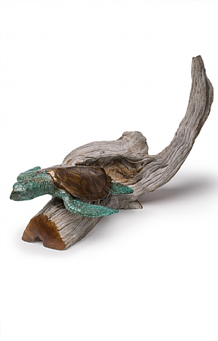 Medium Turtle I on Driftwood by Pete Johnston