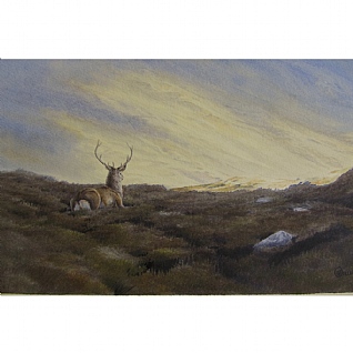 Resting by Owen Williams Resting by Owen Williams