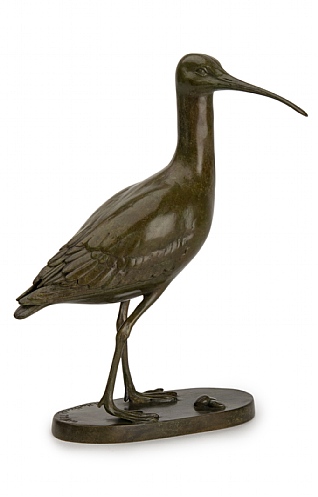 Curlew by Patricia Northcroft