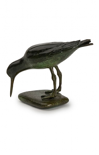 Oystercatcher by Patricia Northcroft