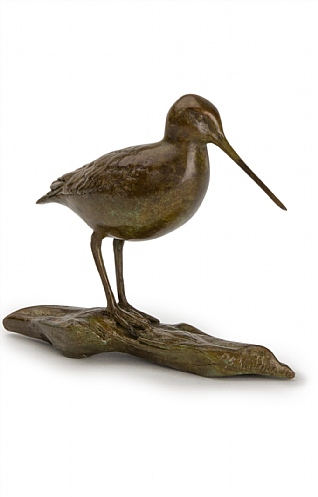 Snipe by Patricia Northcroft
