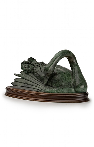 Black Swan by Patricia Northcroft
