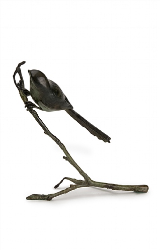 Long Tail Tit by Patricia Northcroft Long Tail Tit by Patricia Northcroft