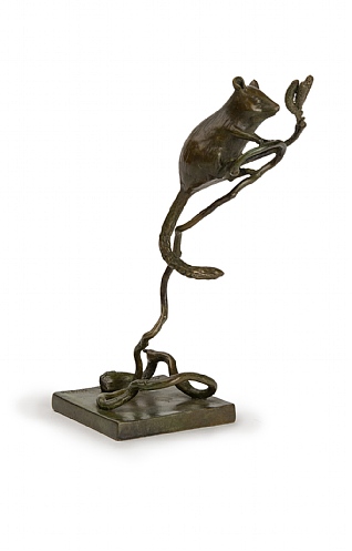 Dormouse by Patricia Northcroft